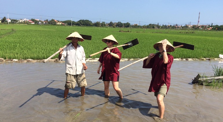 RICE FARMING EXPERIENCE – HANOI’S AGRICULTURE & RURAL LIFE